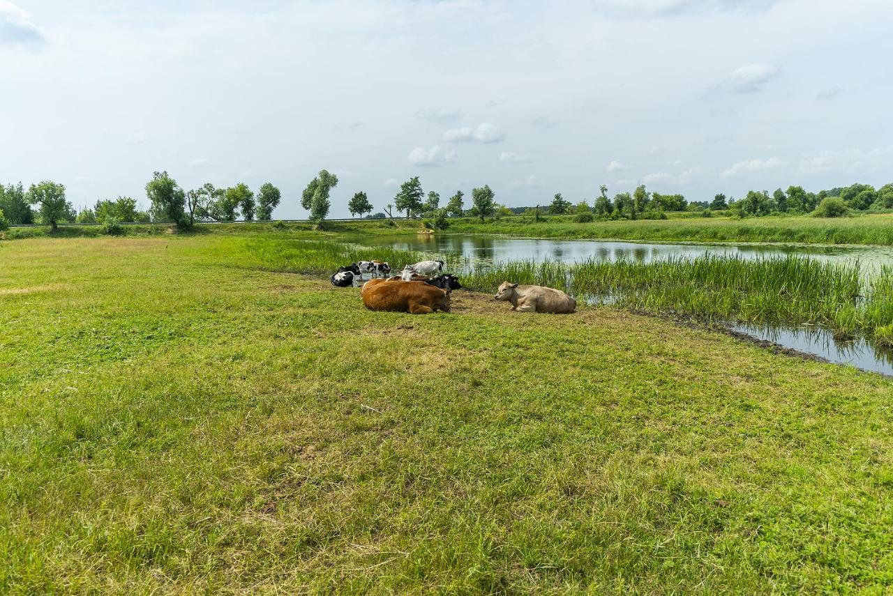 Agroturystyka Carski Trakt Wizna Exterior photo